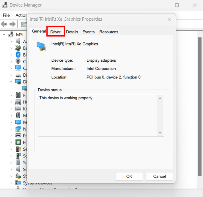 So beheben Sie, dass Wallpaper Engine beim Start nicht startet All