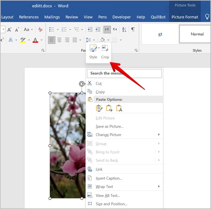 Las 7 mejores maneras de recortar una imagen en un documento de Word - All Things Windows