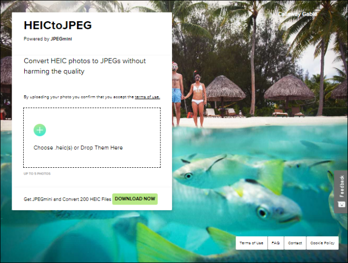 Comment Convertir Par Lots HEIC En JPG All Things Windows comment-convertir-par-lots-heic-en-jpg-all-things-windows