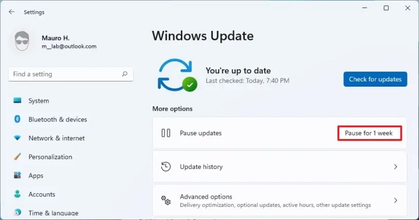 Cara Menonaktifkan Pembaruan Otomatis Pada Windows 11 - All Things Windows