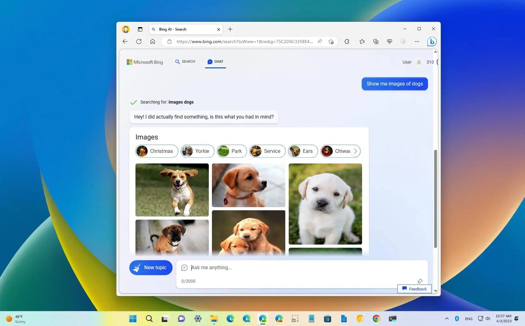 Bing Chat AI menghadirkan hasil pencarian gambar dan video - All Things ...