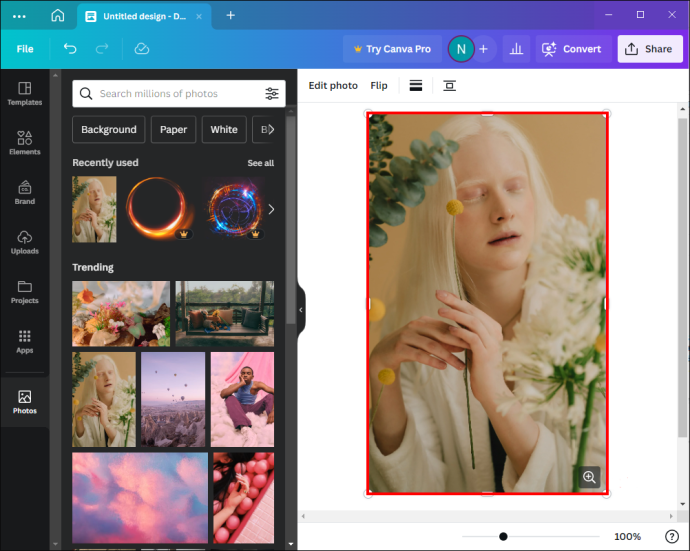 Cara Menambahkan Foto Ke Bingkai Di Canva - All Things Windows