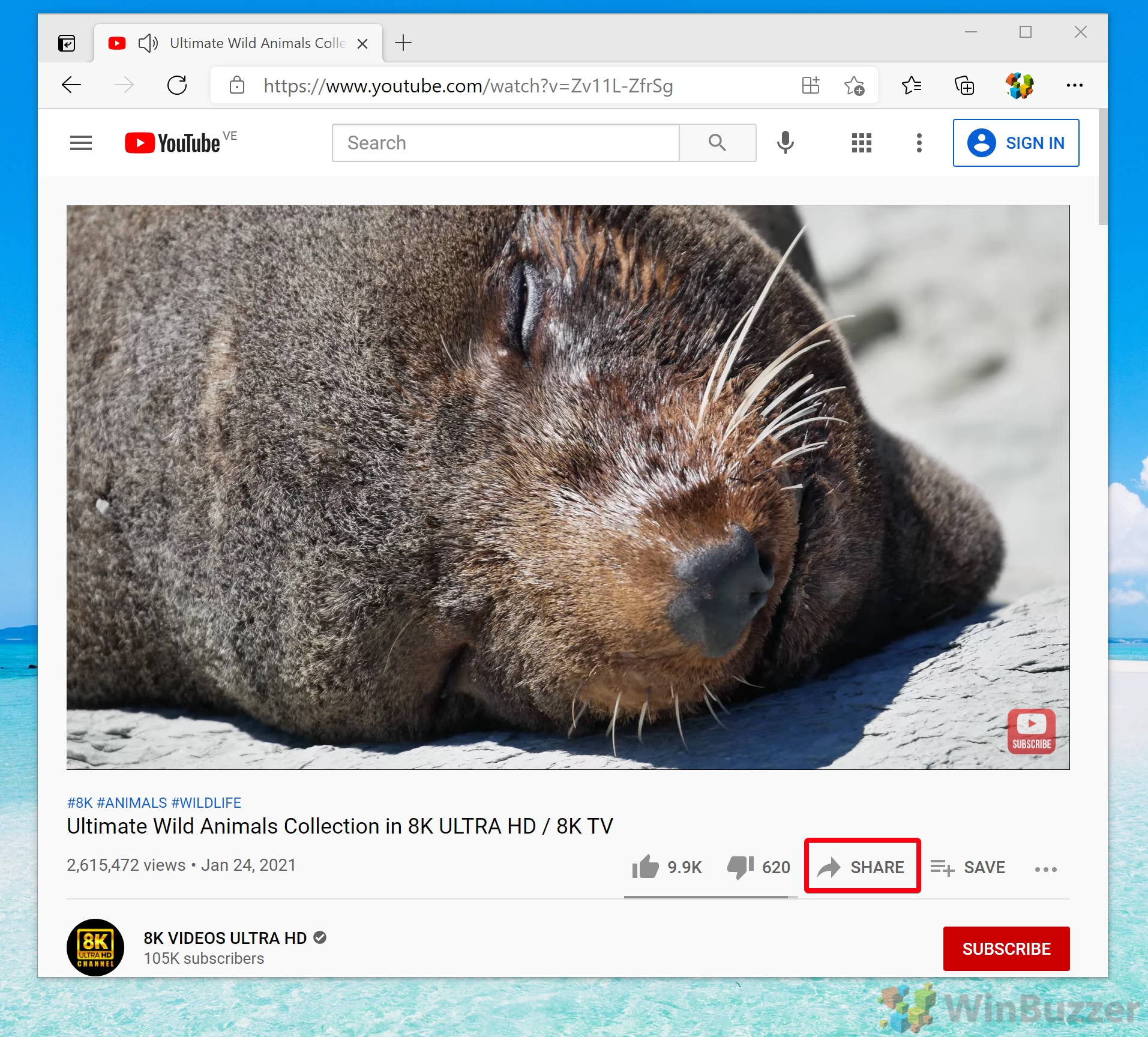 cara Menyematkan Video Youtube Di Powerpoint All Things Windows cara Menyematkan Video Youtube Di Powerpoint All Things Windows