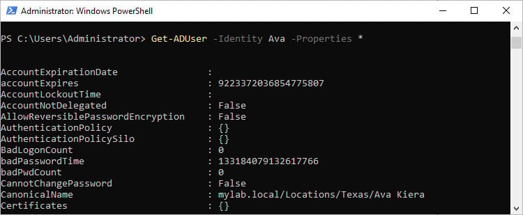 PowerShell Get-ADUser の使用方法 - All Things Windows