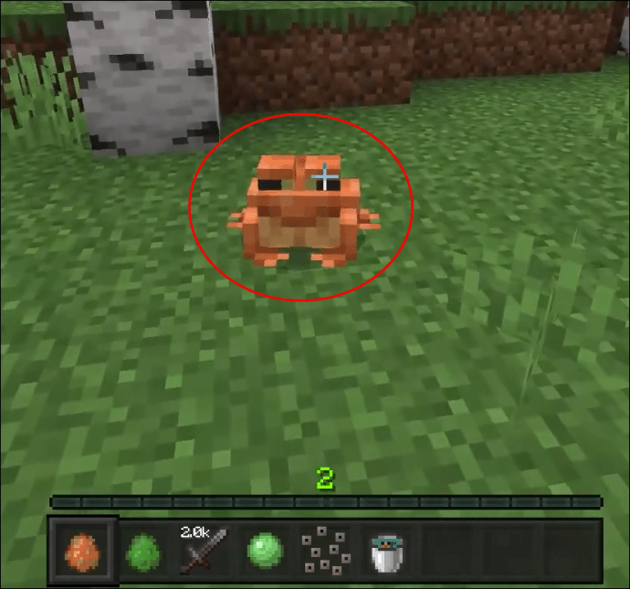 Hoe kikkers te fokken in minecraft all things windows